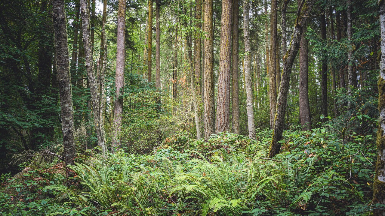 Photo of Others in Adelma Beach