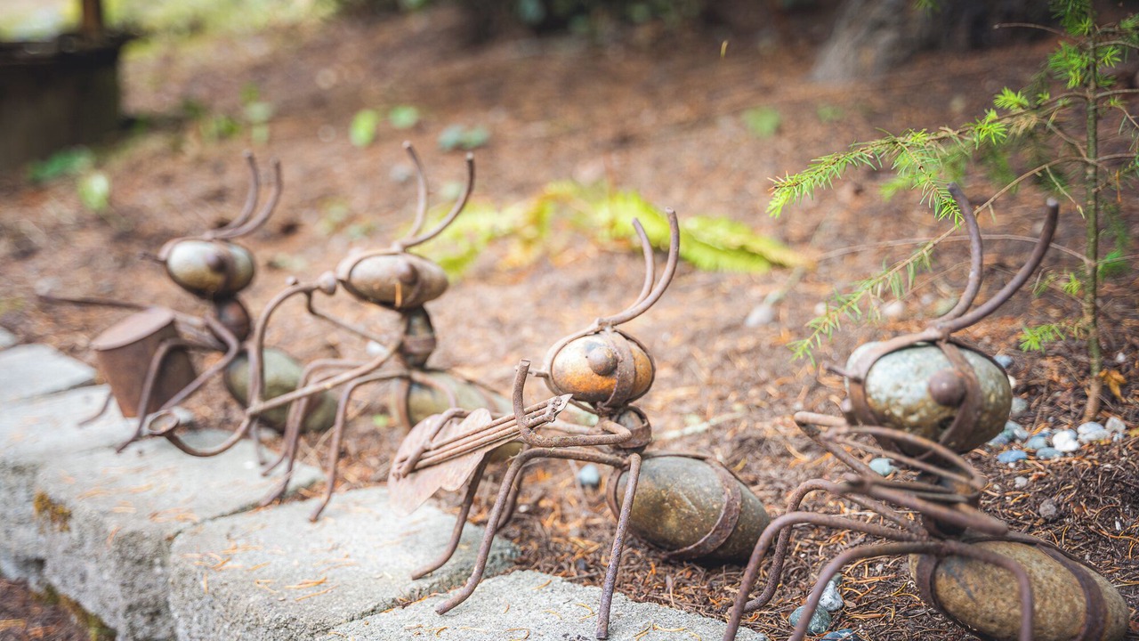 Photo of Others in Adelma Beach