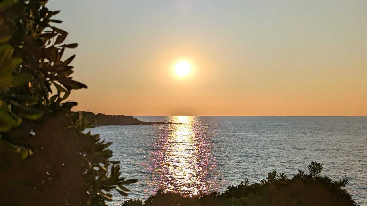 Photo of Others in Aregno