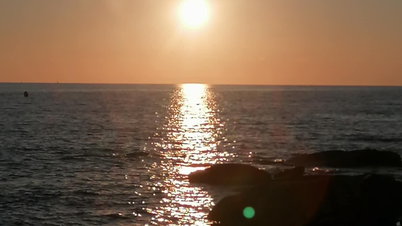 Photo of Others in Aregno