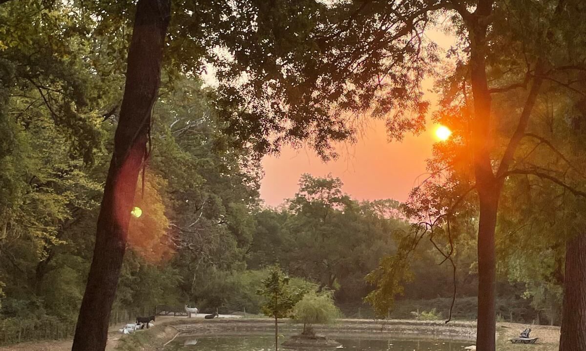 Photo of Others in Saint-Clar