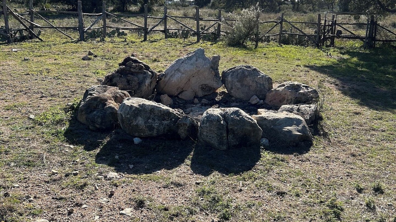 Photo of Others in Mason