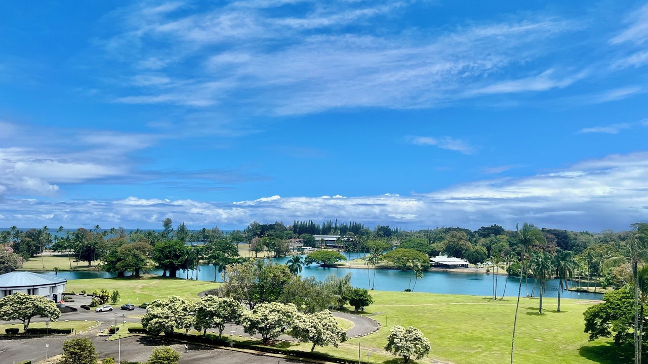 Photo of Others in Hilo