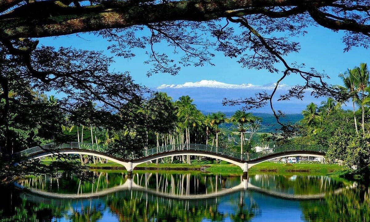 Photo of Others in Hilo