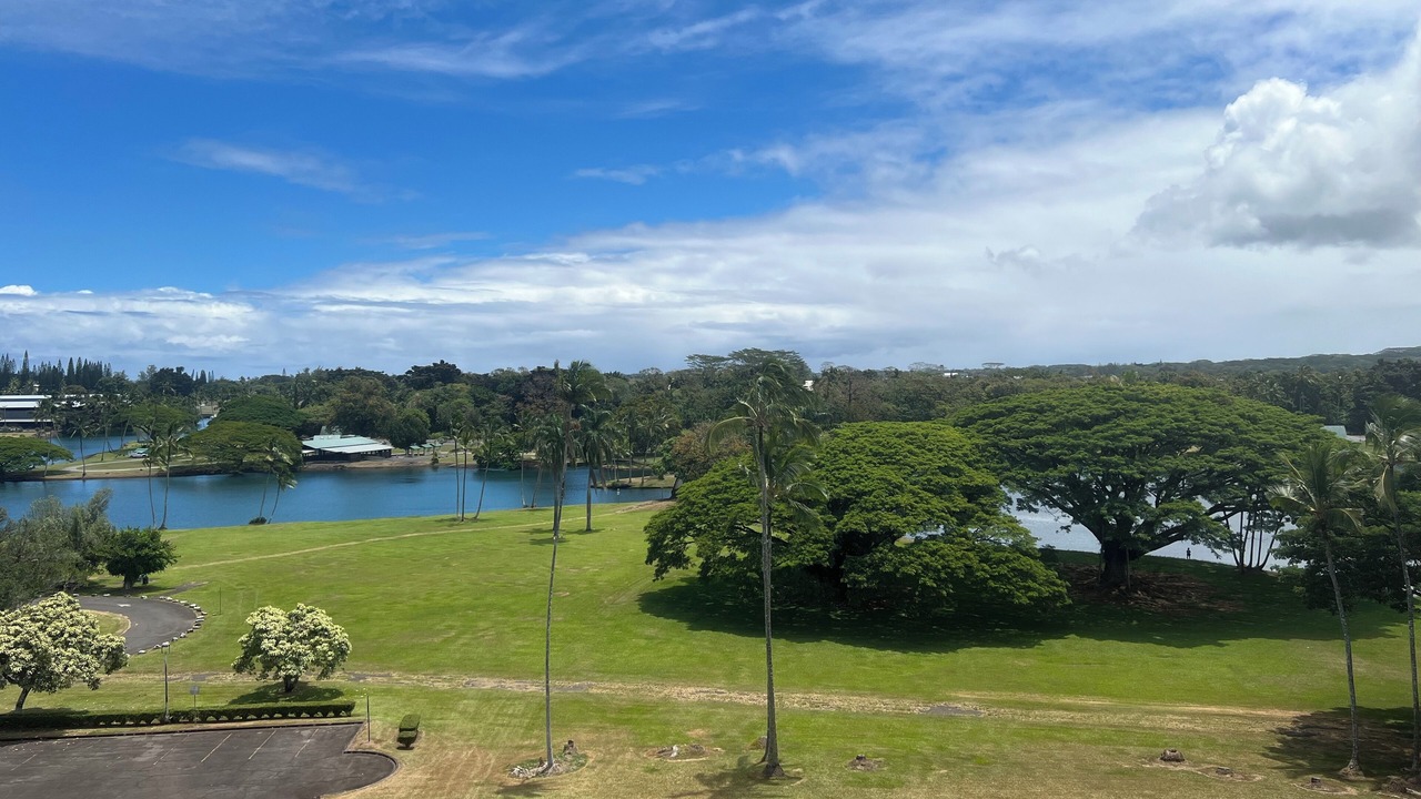 Photo of Others in Hilo