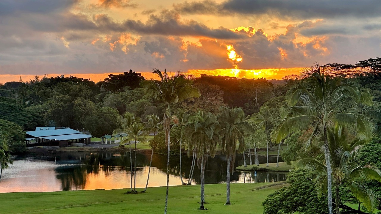 Photo of Others in Hilo