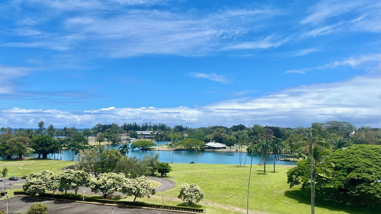 Photo of Others in Hilo