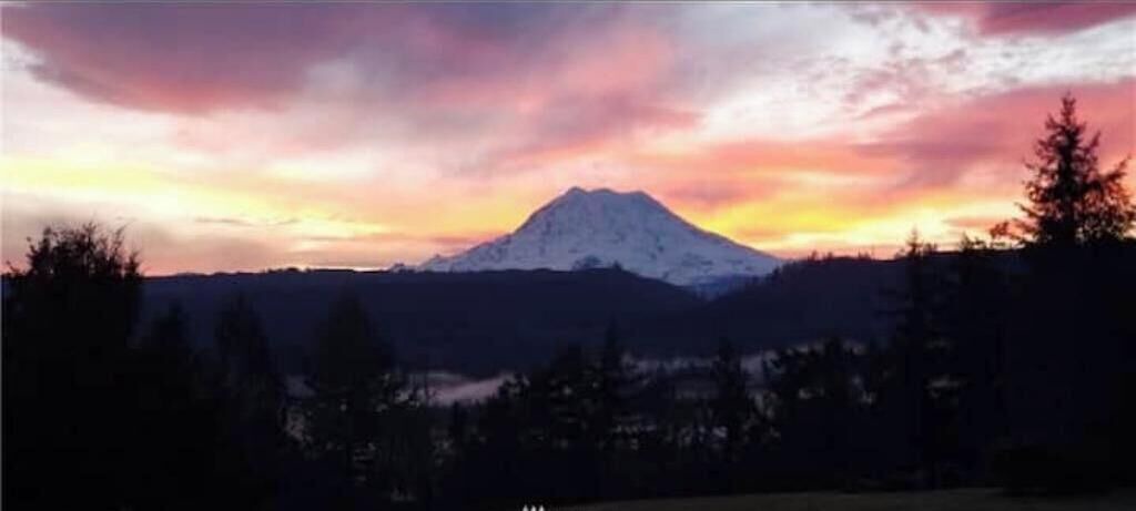 Photo of Others in Fort Lewis