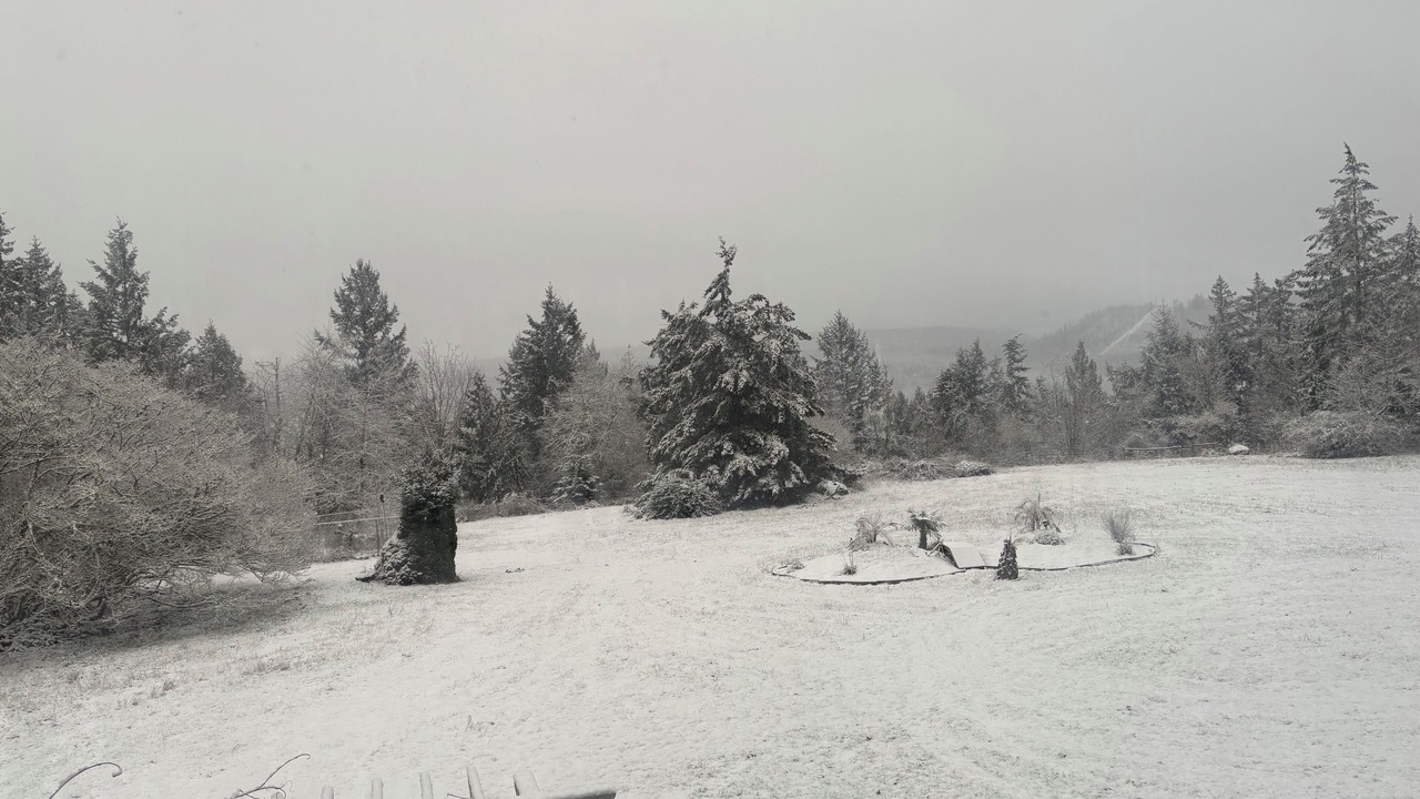 Photo of Others in Fort Lewis