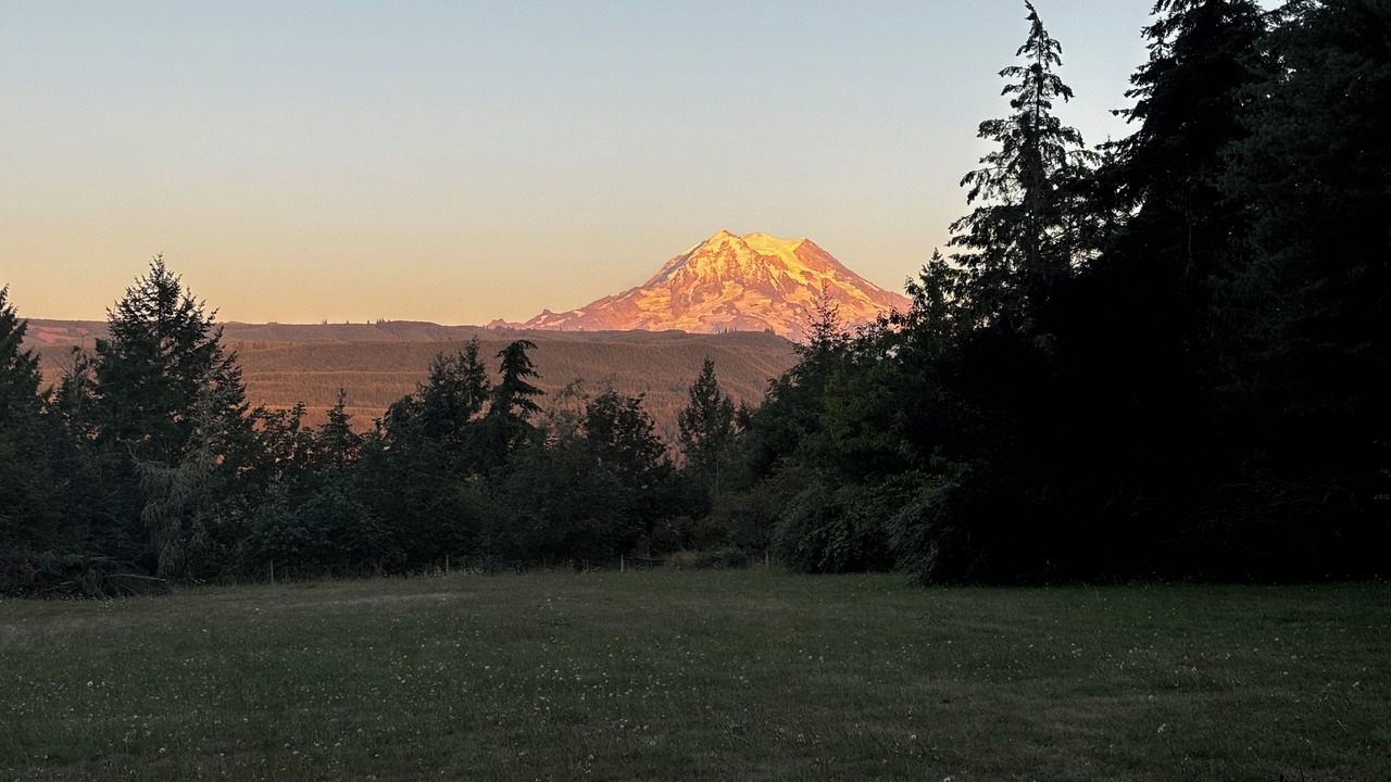 Photo of Others in Fort Lewis