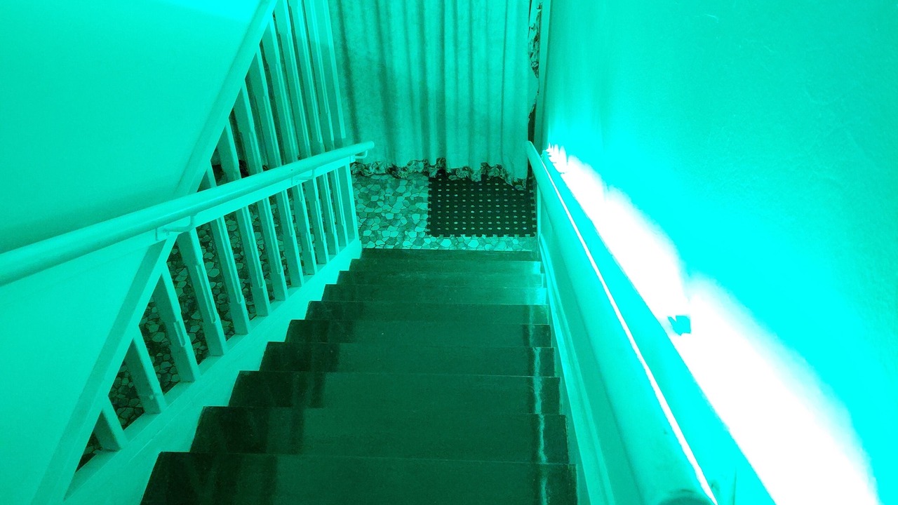 Photo of Others in Scarness