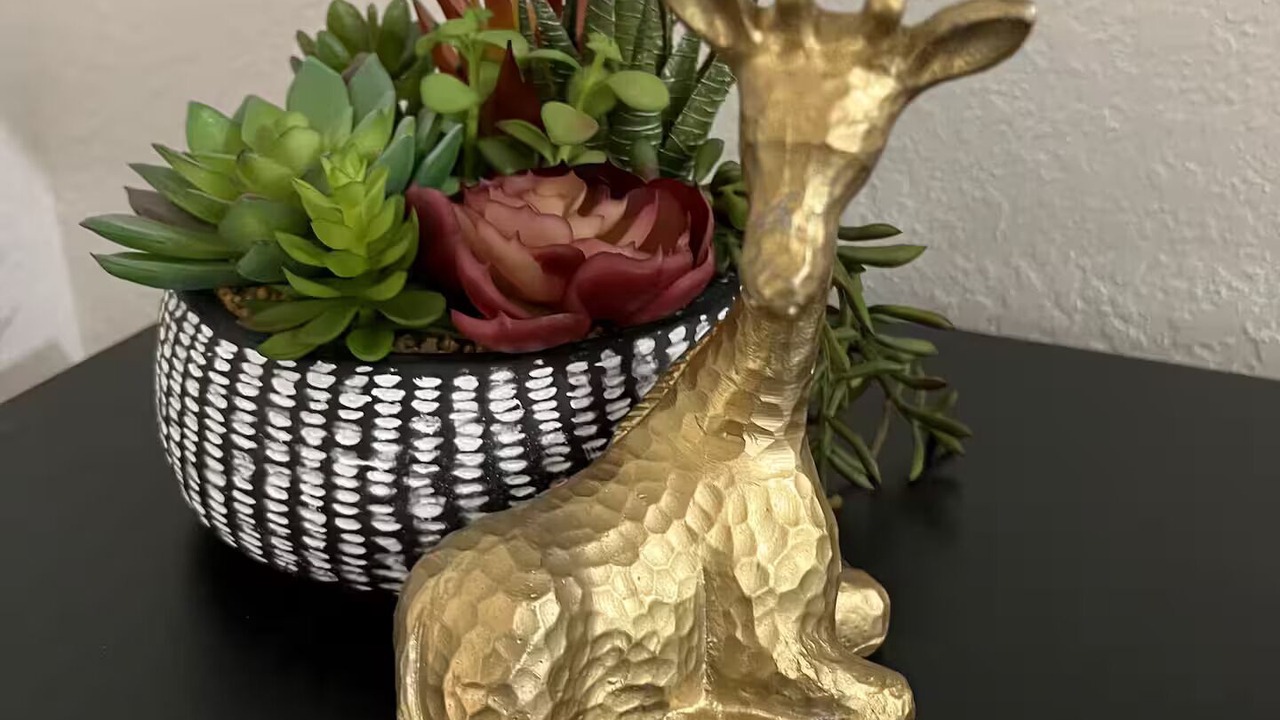 Photo of Others in Roseburg