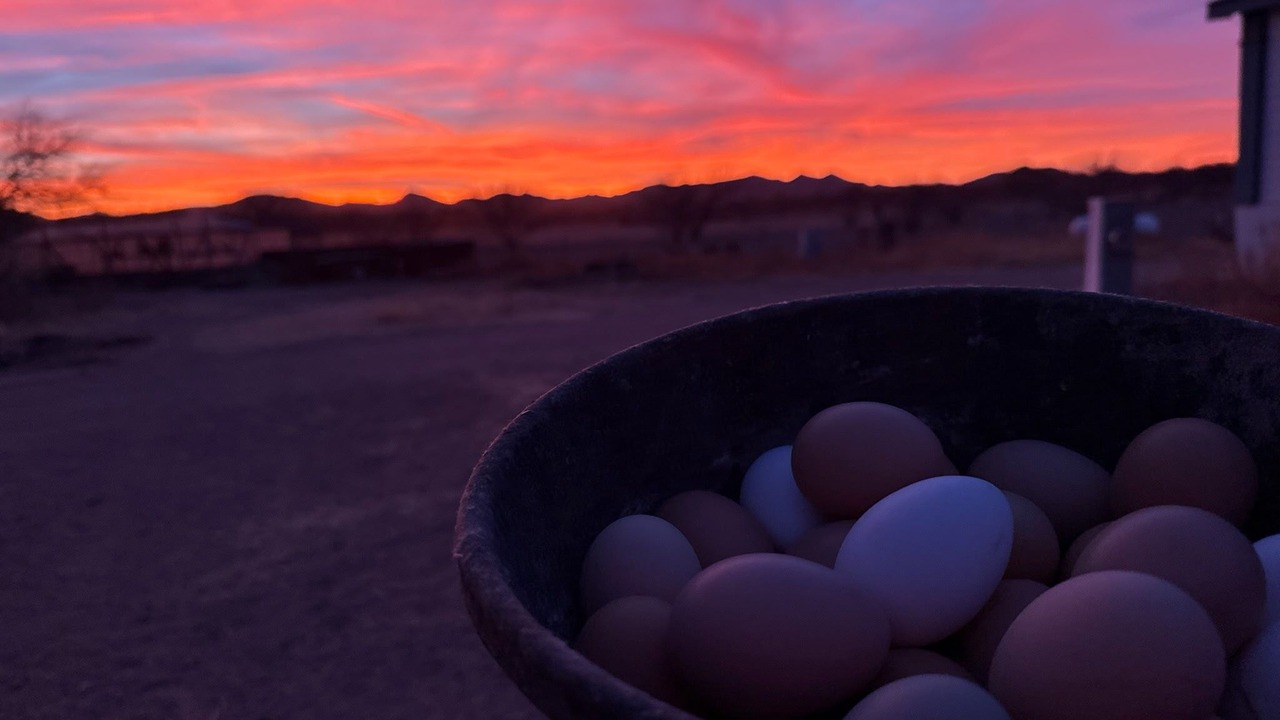 Photo of Others in Tucson