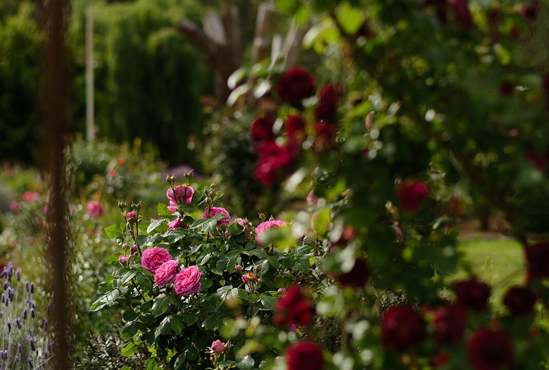 Photo of Outdoor in Don Valley
