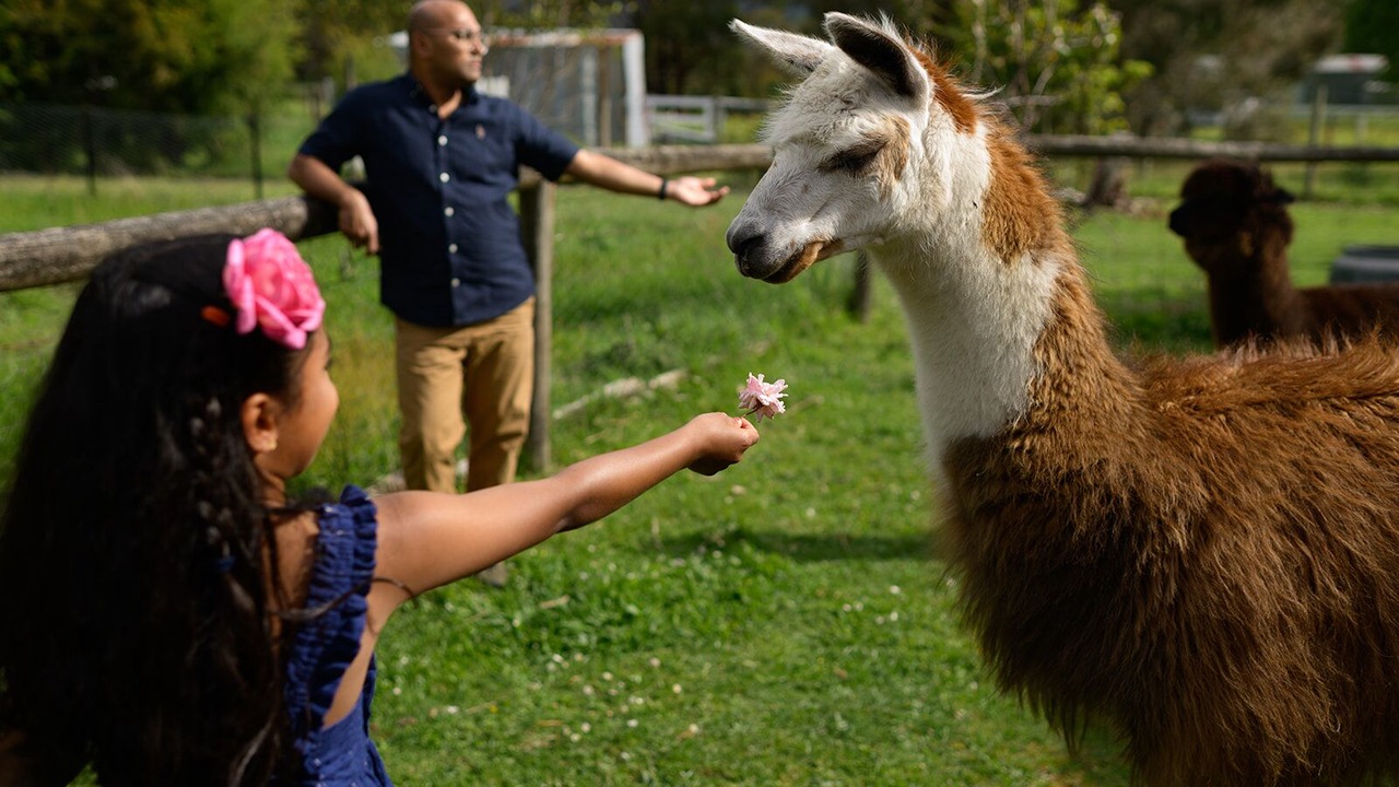 Photo of Others in Don Valley