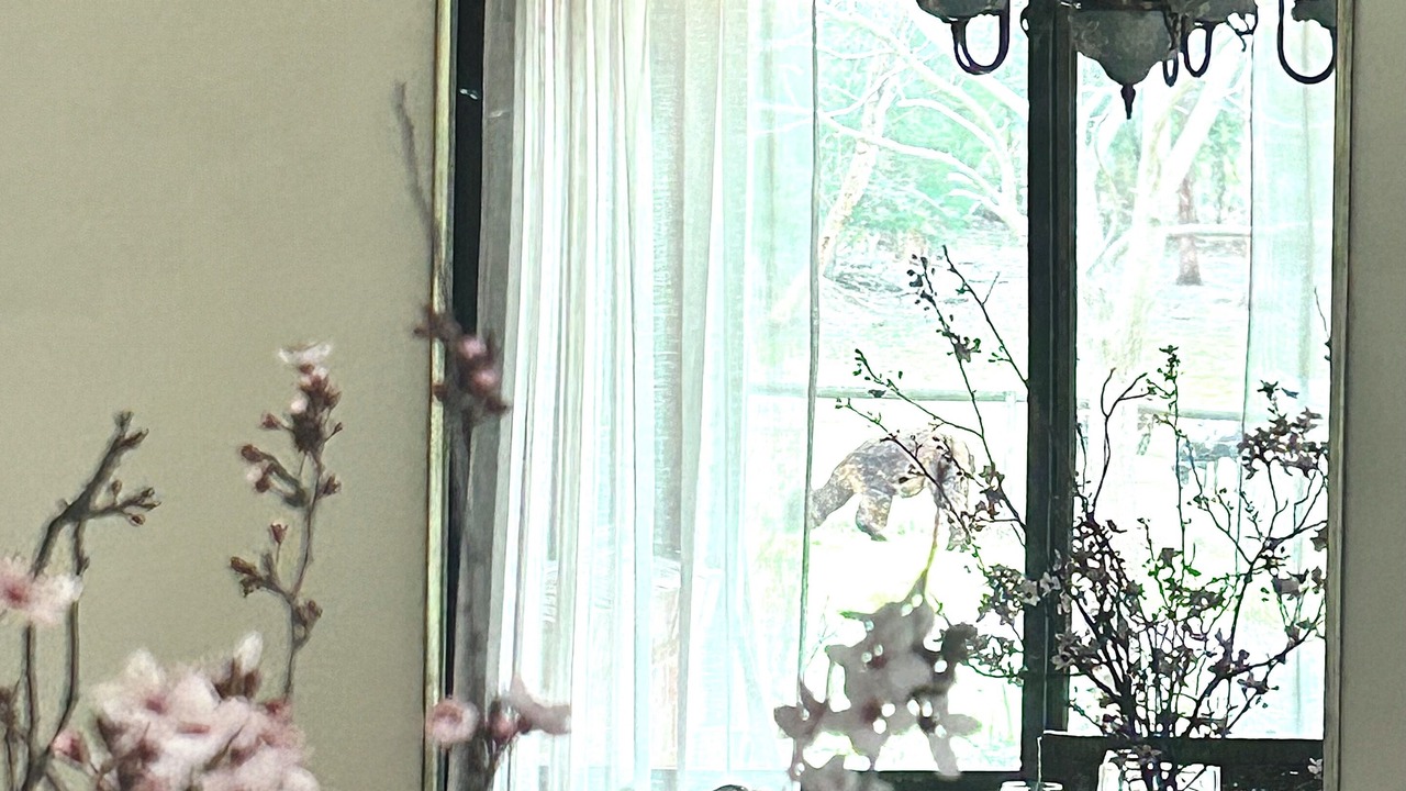 Photo of Others in Don Valley