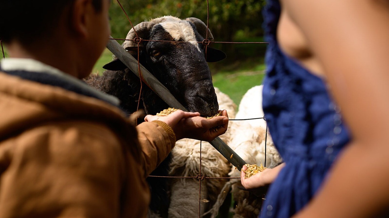 Photo of Others in Don Valley