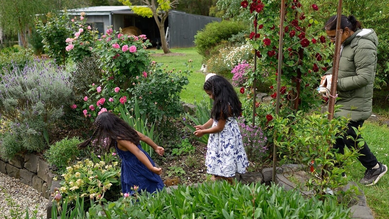 Photo of Outdoor in Don Valley