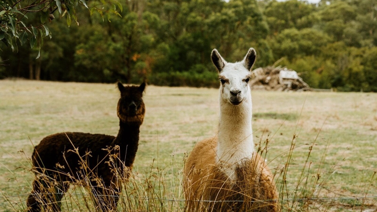 Photo of Others in Don Valley