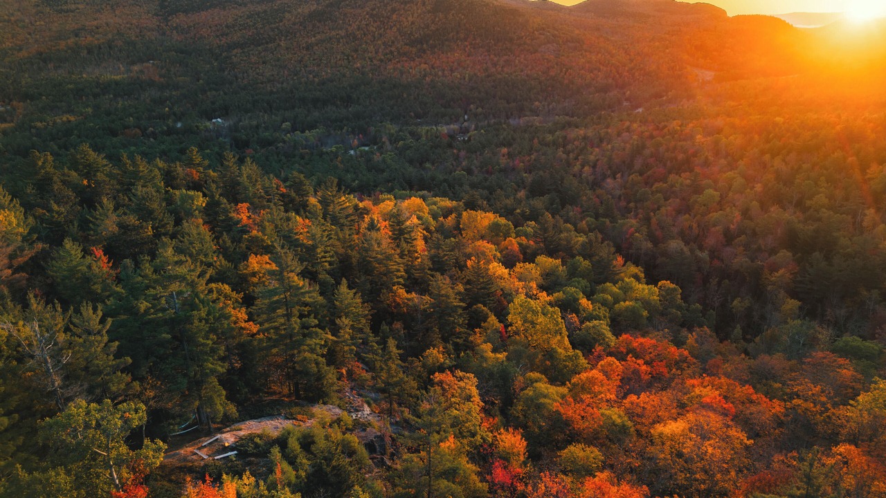 Photo of Others in Keene Valley
