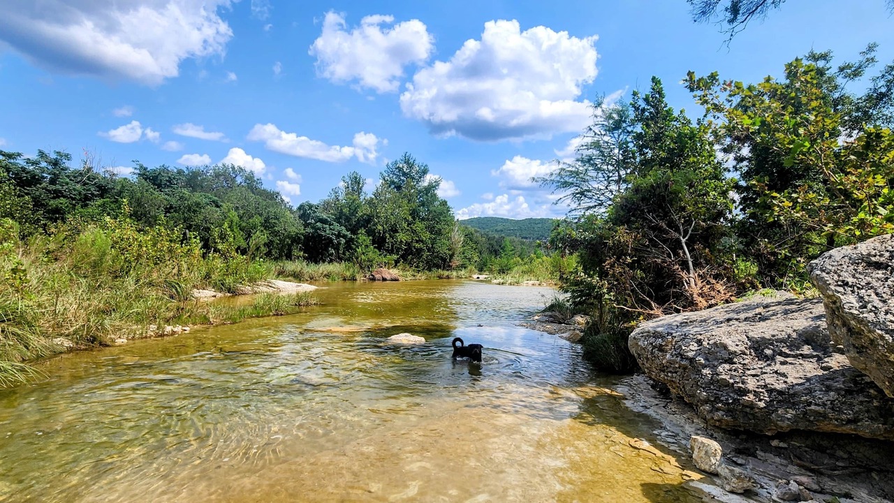 Photo of Others in Leakey