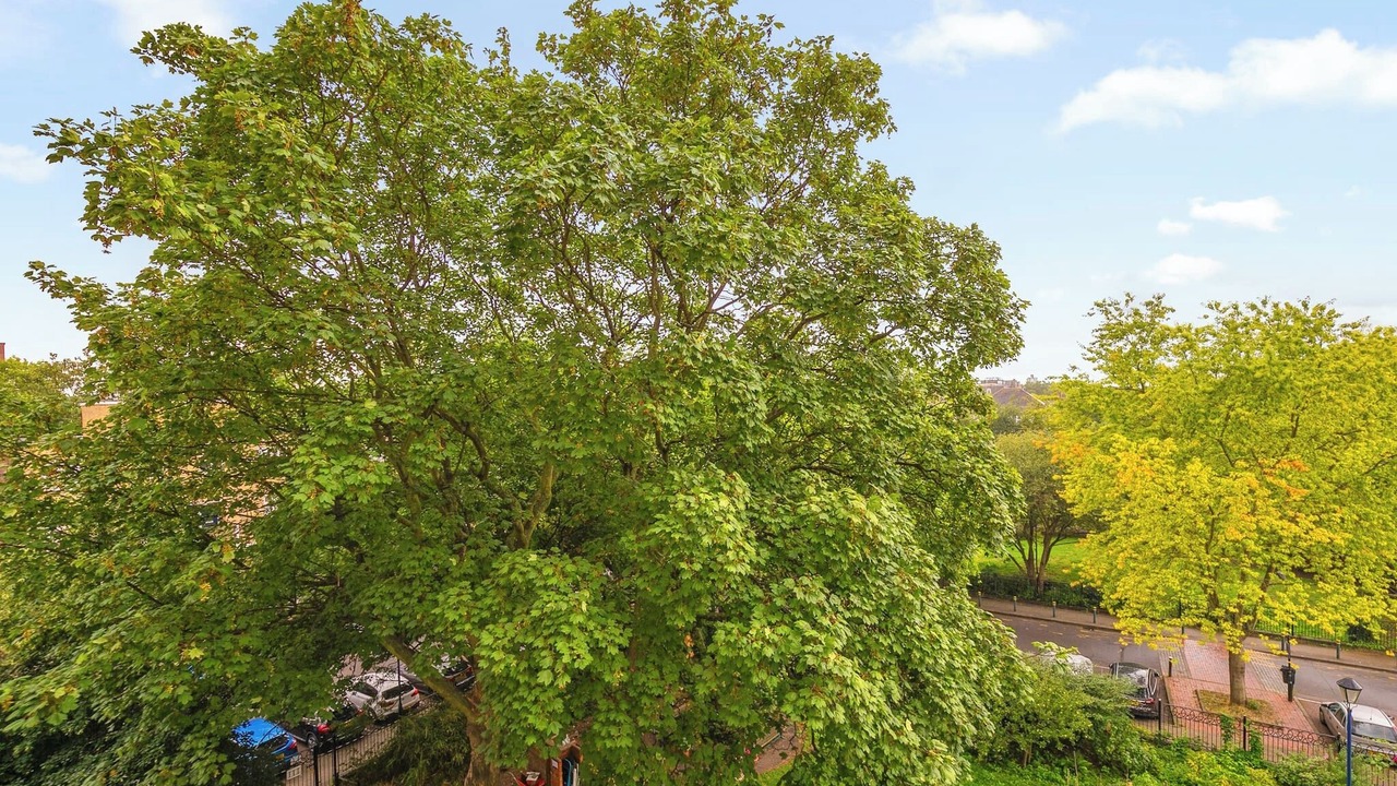 Photo of Others in Kennington