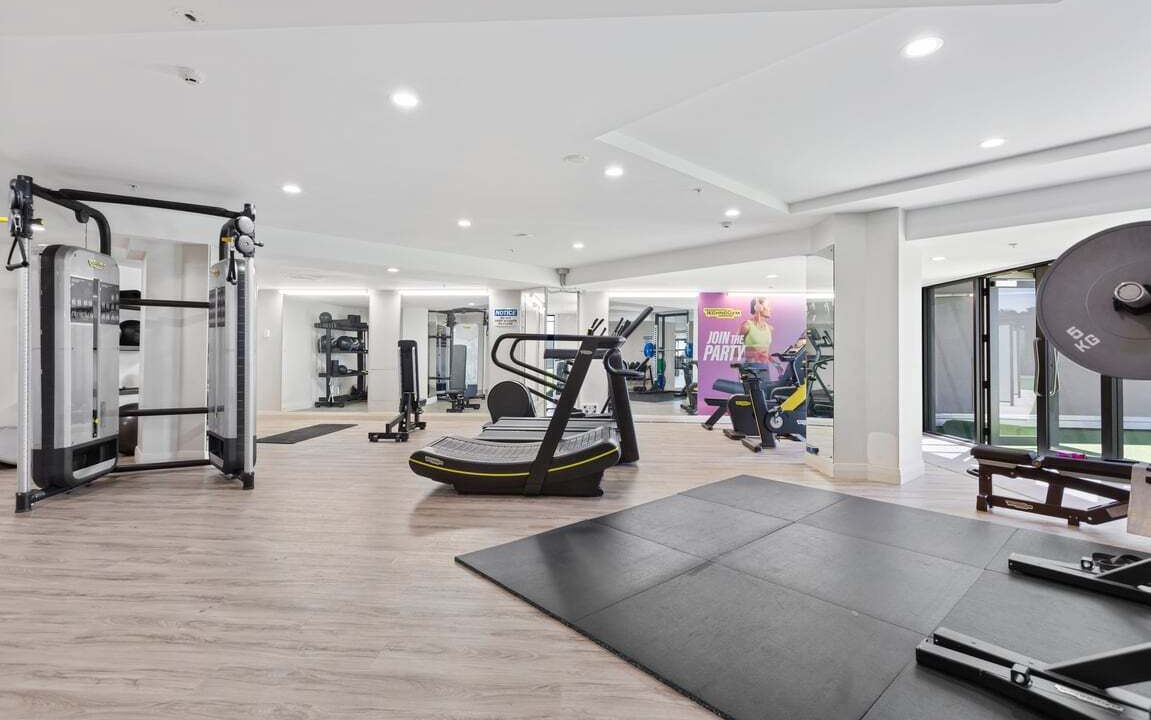 Photo of Others in Takapuna