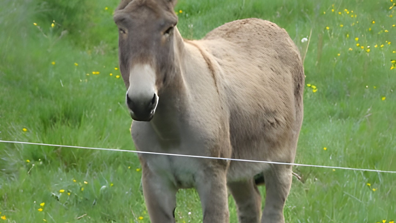 Photo of Others in Saint-Genis
