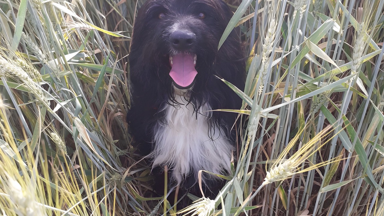 Photo of Others in Saint-Genis