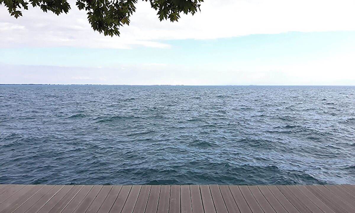 Photo of Others in Anchorville