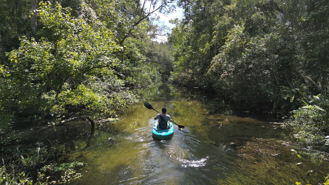 Photo of Others in Weeki Wachee Gardens