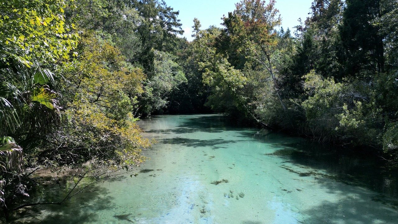 Photo of Others in Weeki Wachee Gardens