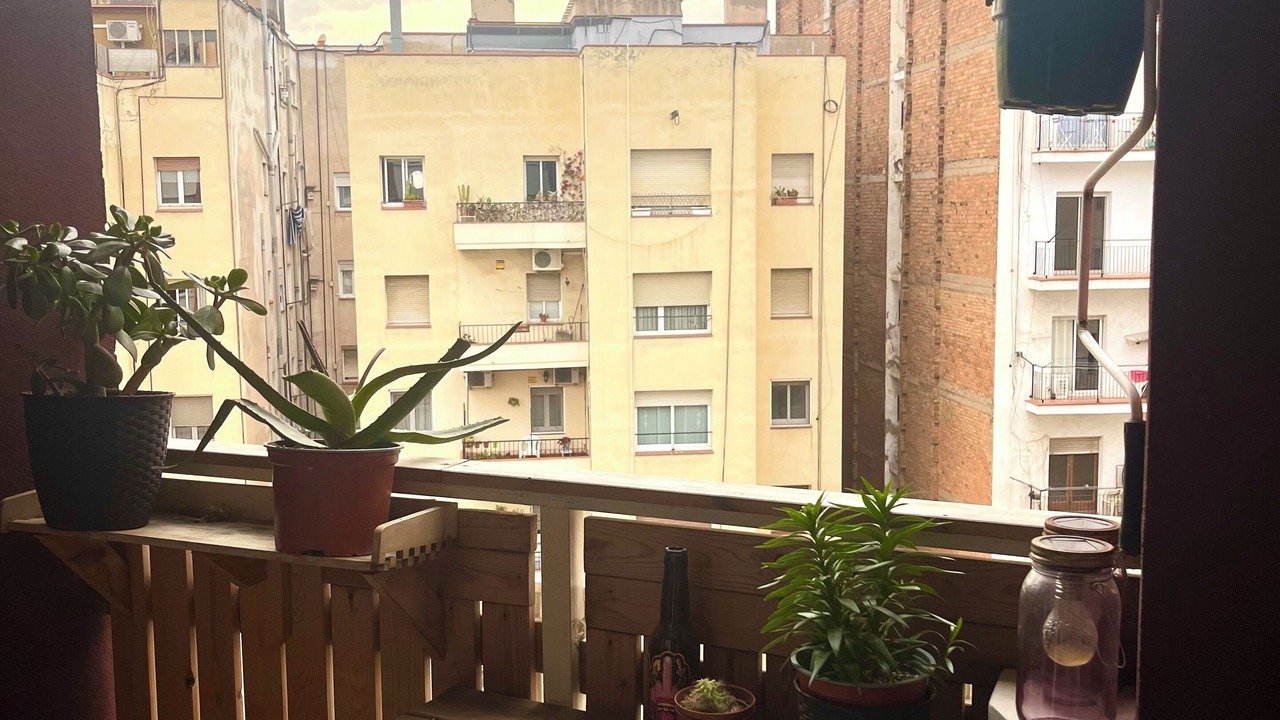 Photo of Outdoor in Navas