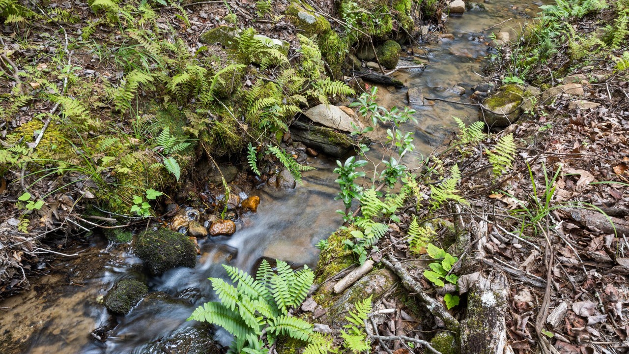 Photo of Others in Morganton