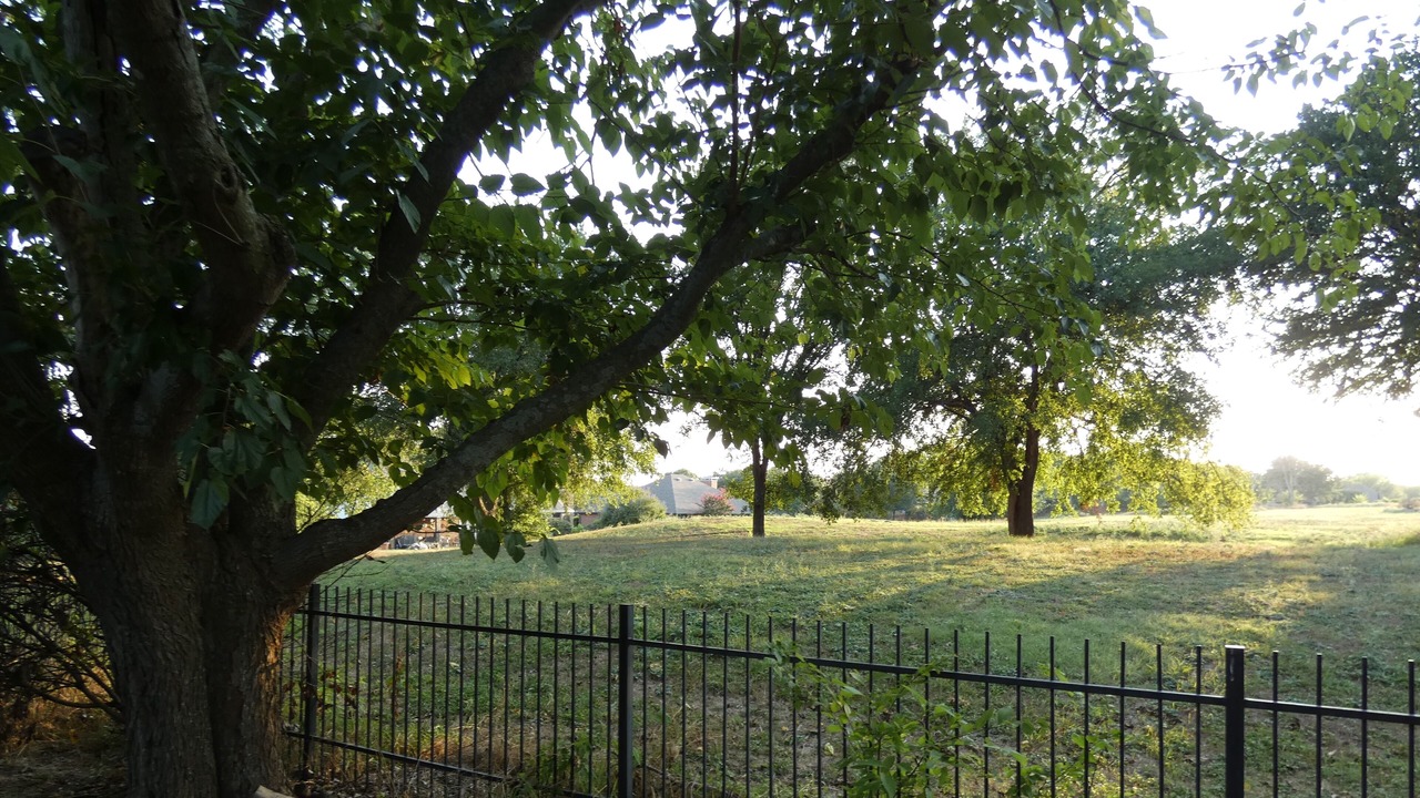 Photo of Outdoor in Tarrant County
