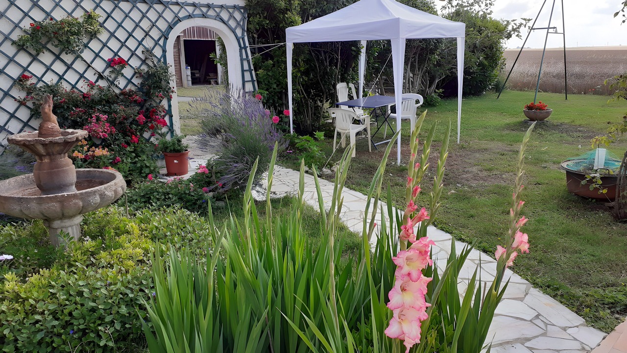 Photo of Outdoor in Thaire