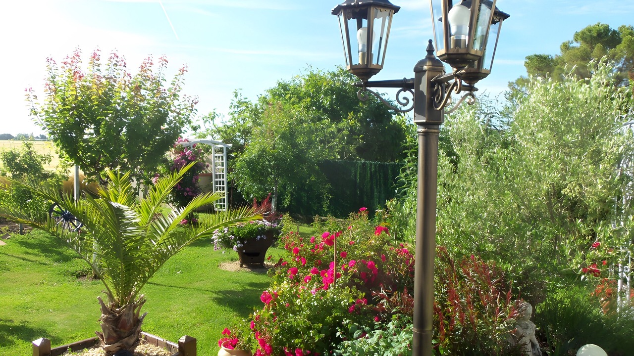 Photo of Outdoor in Thaire