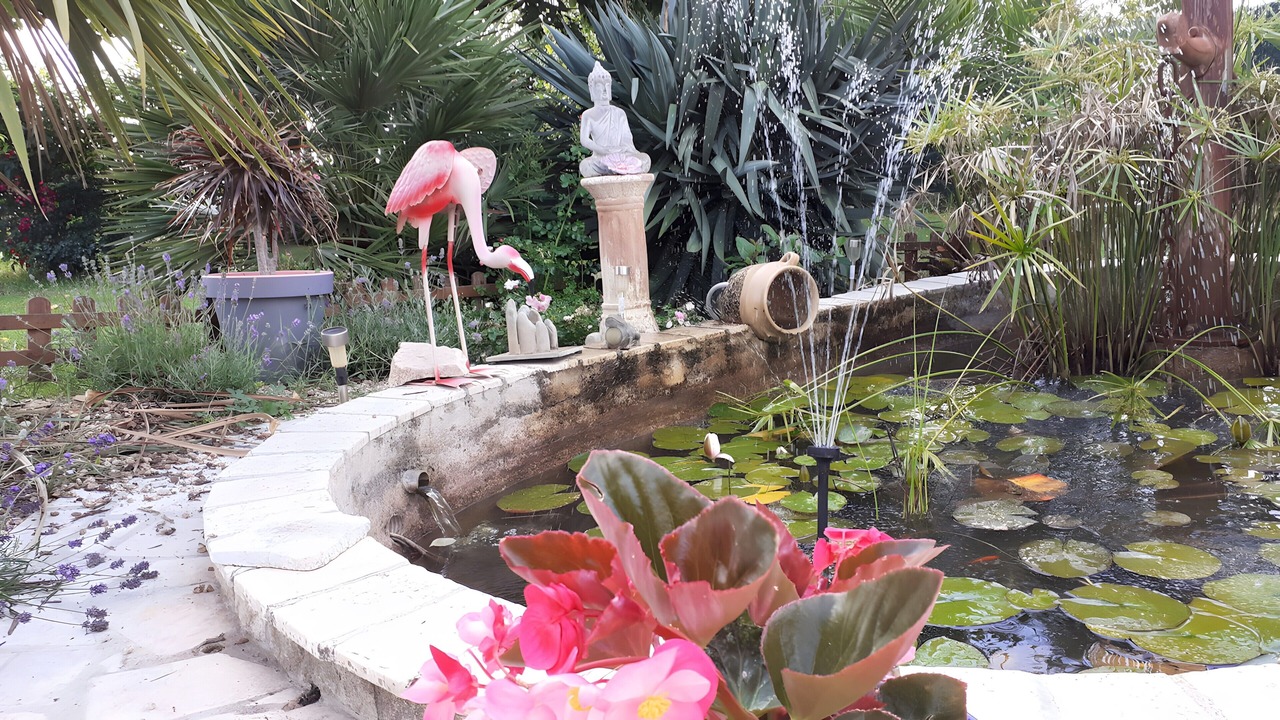Photo of Outdoor in Thaire