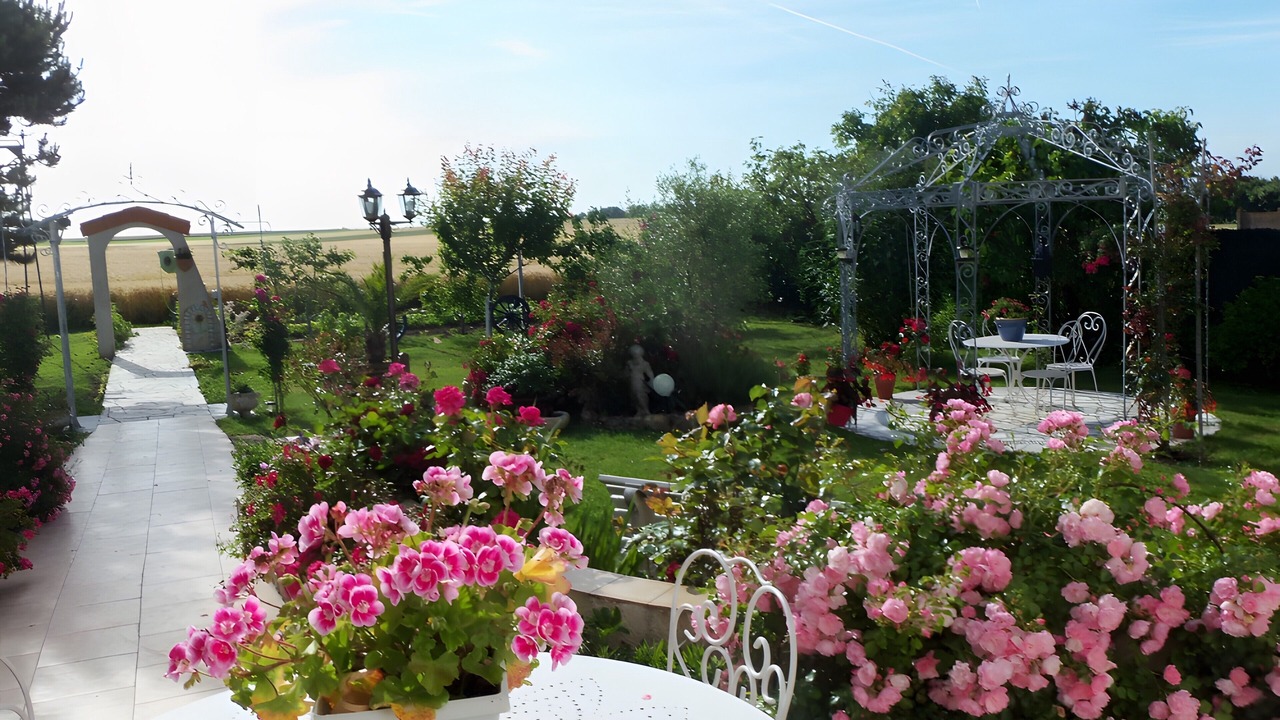 Photo of Outdoor in Thaire