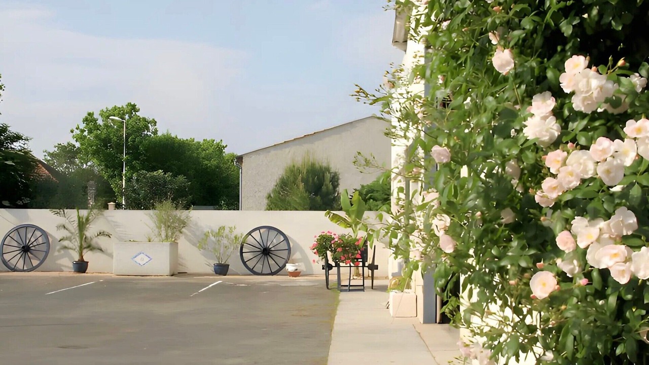 Photo of Outdoor in Thaire