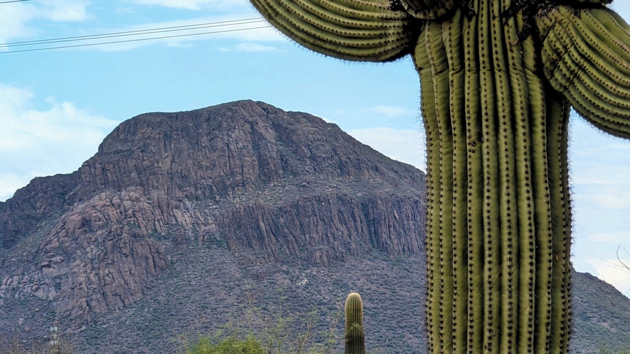 Photo of Others in Tucson Estates