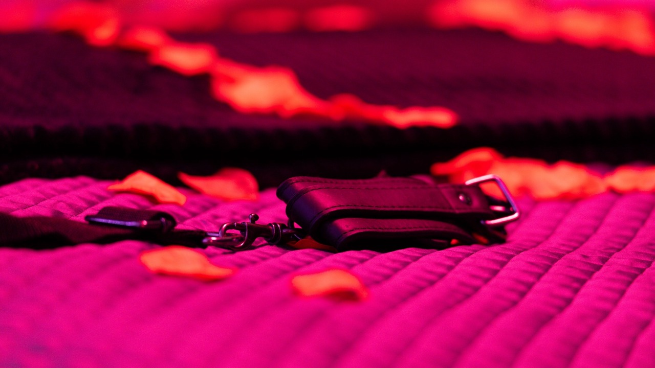 Photo of Others in Bourg-l'Eveque