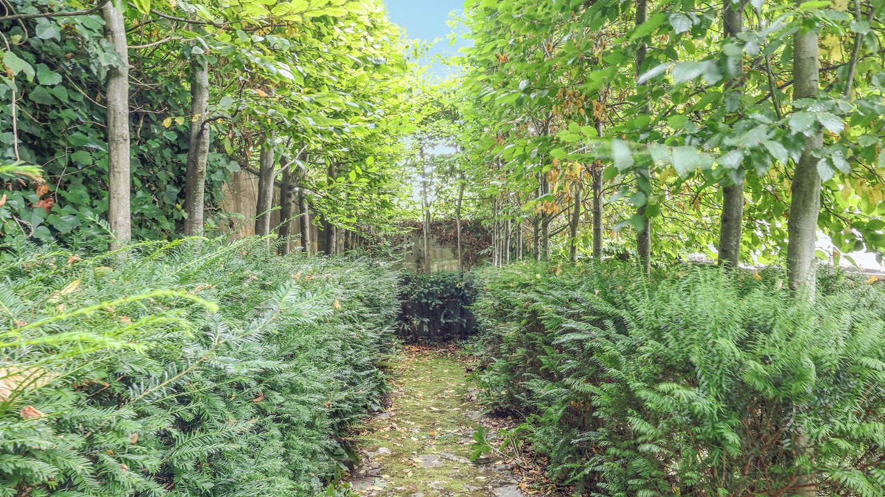 Photo of Outdoor in Batheaston