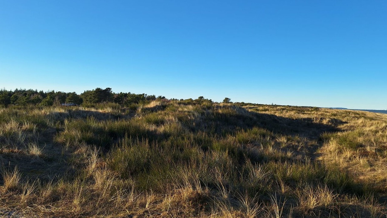 Photo of Outdoor in Nordost