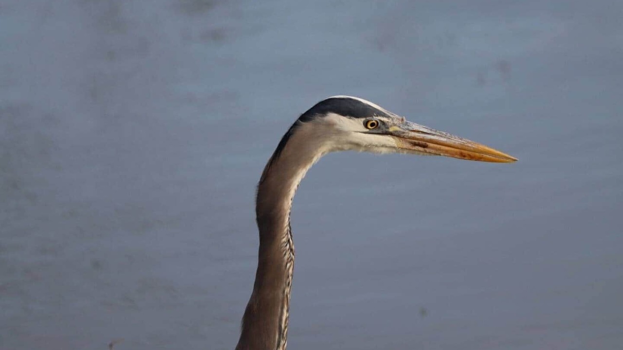 Photo of Outdoor in Virgil