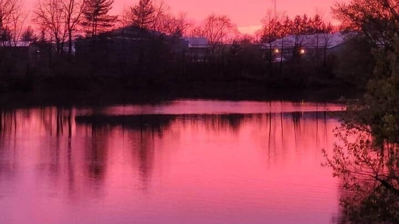 Photo of Others in Virgil