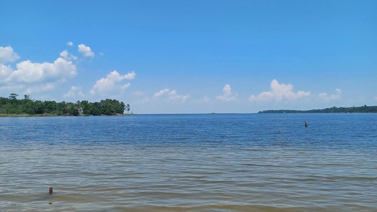 Photo of Others in South River
