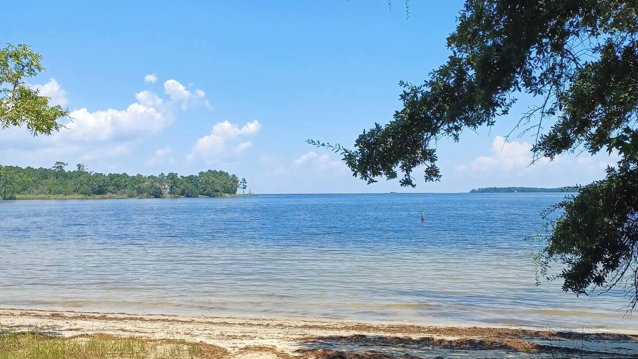 Photo of Others in South River