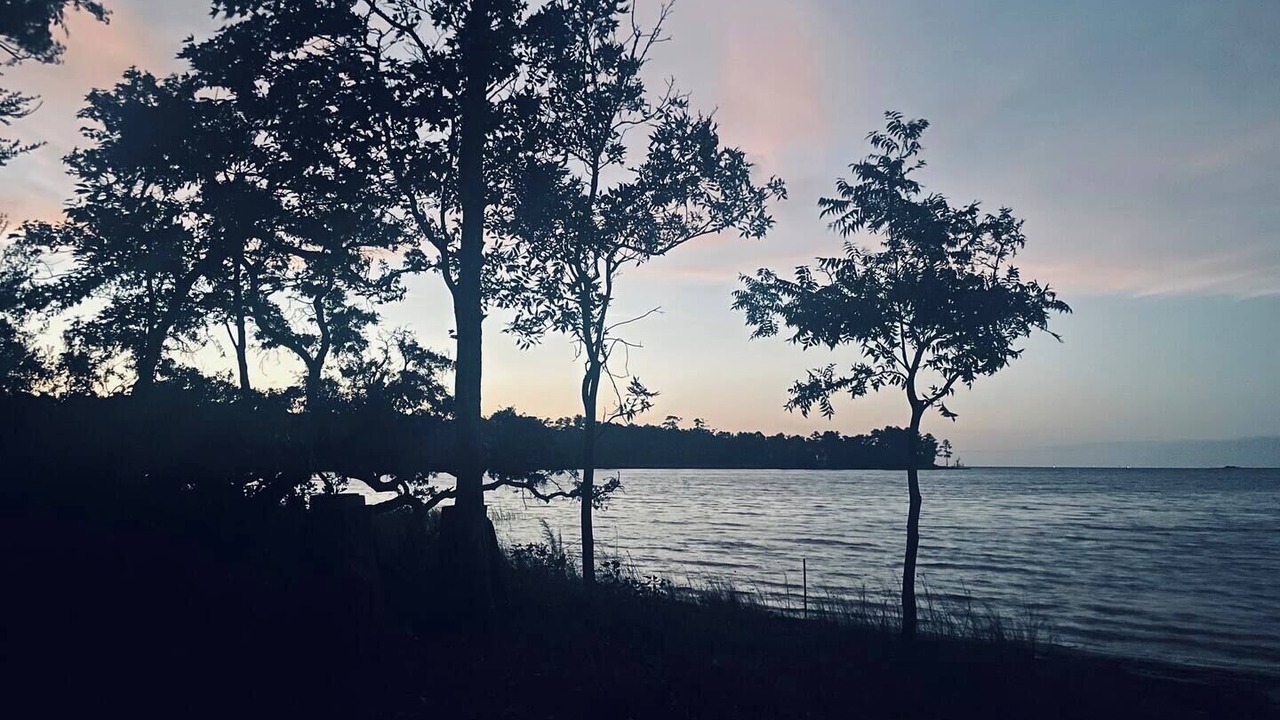 Photo of Others in South River