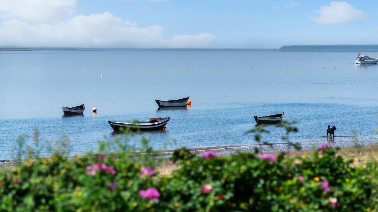 Photo of Bedroom in Hjerting